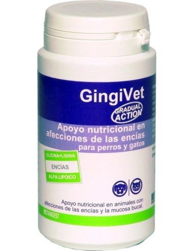 GingiVet