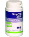 GingiVet