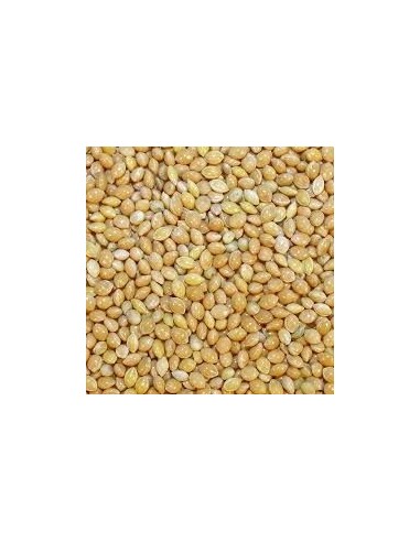 Blanc millet Disfa 4 kg