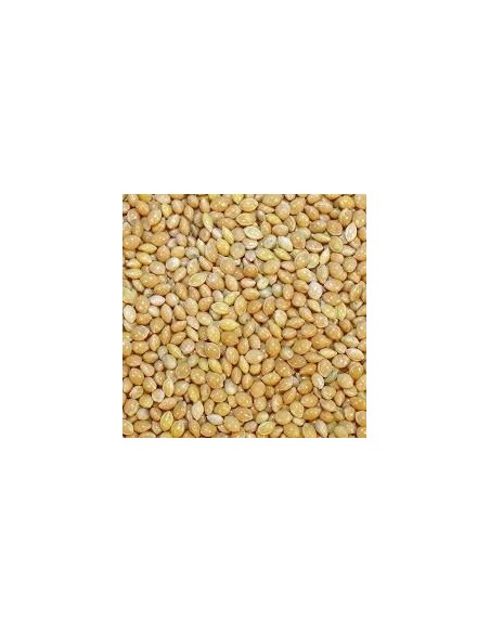 White millet Disfa 4 kg