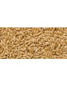 Canaryseed Canada Disfa 25 kg