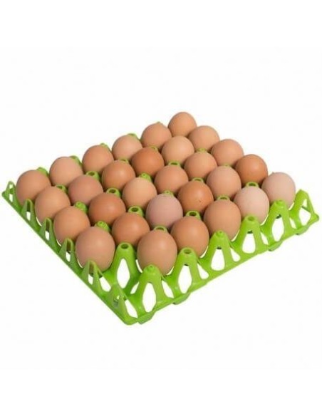 Plastic tray for 30 eggs