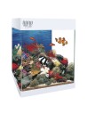 Aquarium de l'ACI KIT NANO AQUALED 20 LITRES