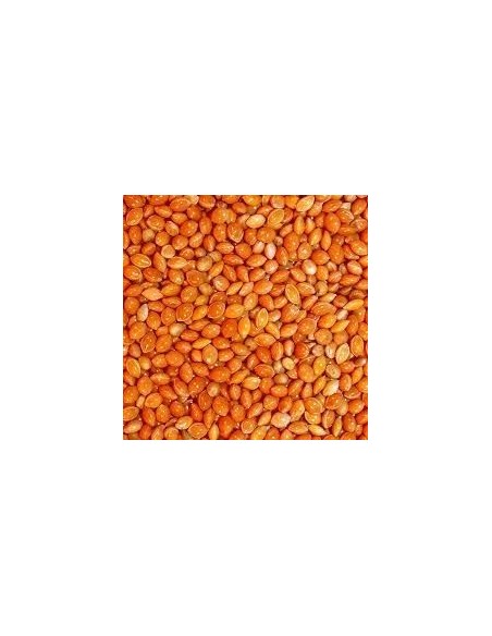 Millet rouge DISFA 4 kg