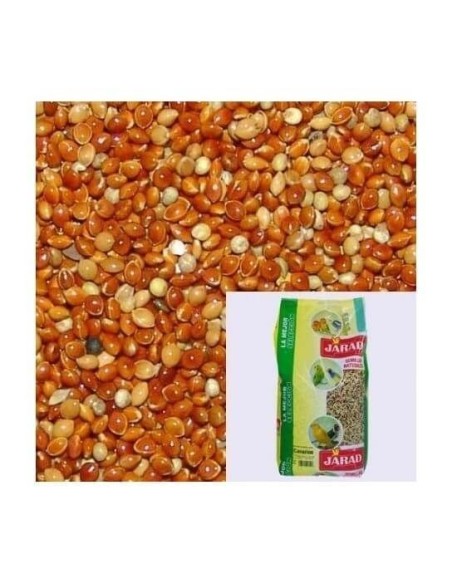 Graines de millet rouge JARAD 1 kg