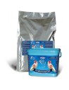 Pasta Blanca Seca Raggio di sole  TH White Extra 4 kg