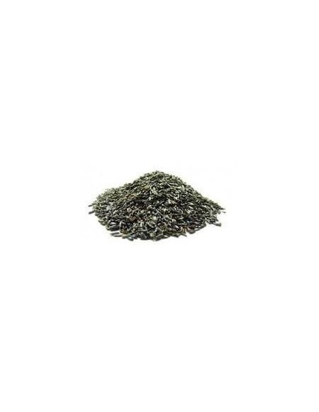 Negrillo DISFA seeds for birds, 1 kg DISFA - 1