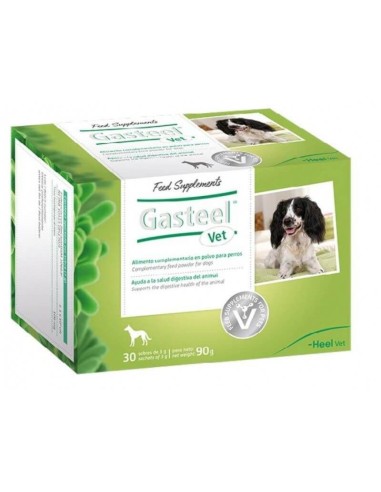 GASTEEL digestive aid for dogs powdered 30 envelopes of 3 gr. LABORATORIOS HEEL - 1