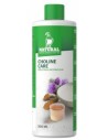 élixir d’herbes aromatiques pour pigeons CHOLINE CARE NATURAL 500 ml Natural - 1