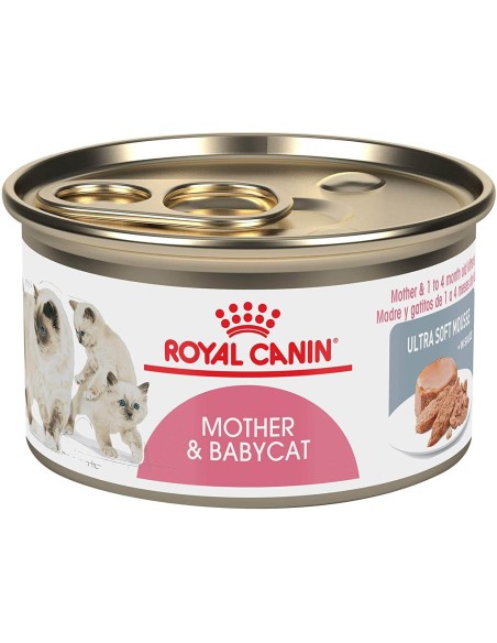 mousse for kittens ROYAL CANIN MOTHER & BABYCAT box of 12 x 195 gr