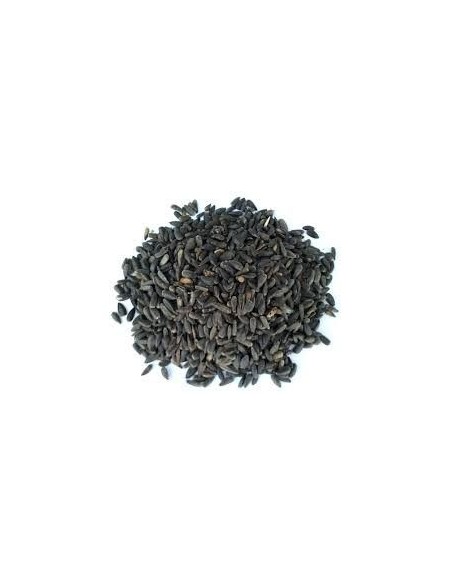 Micro sunflower seed MANITOBA 1kg Manitoba - 1