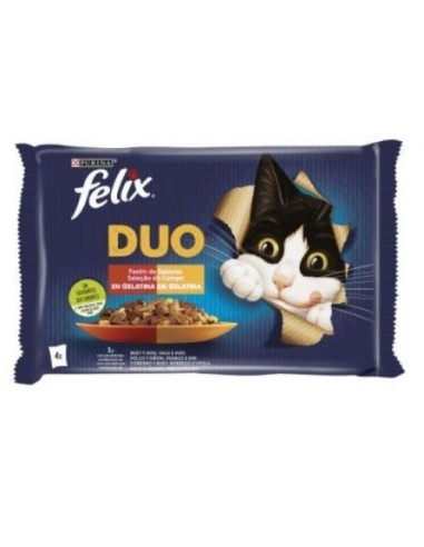 PURINA® FELIX® DUO Feast of Flavors in Gelatin assorti sachets 4x85g