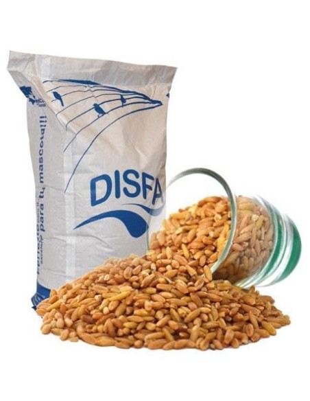 Oats peeled Disfa 4 kg