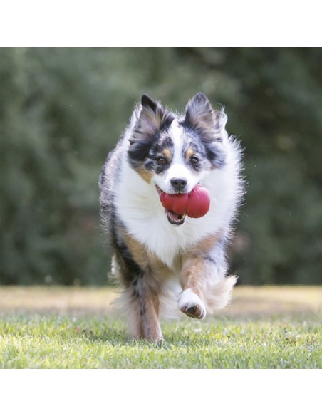 Buy red dog toy KONG Classic size XXL