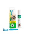 Kit dentaire pour chiens avec pâte enzymatique Stangest