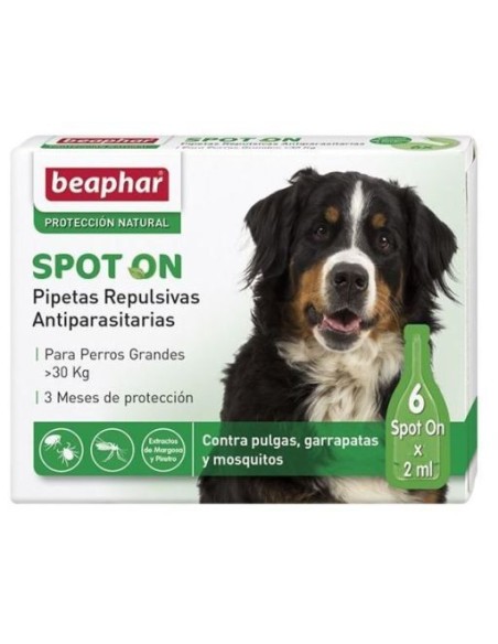 Pipettes répulsives BEAPHAR pour chiens de grande race, 6 x 2 ml