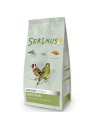 Serinus Wild Birds Breeding