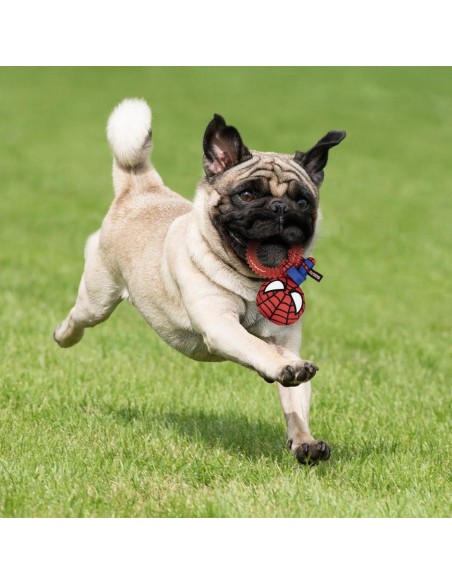 Chien de dentition SPIDERMAN