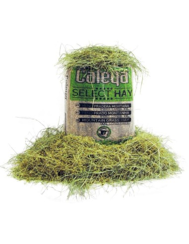 Select Hay – Heno Pradera de Montaña