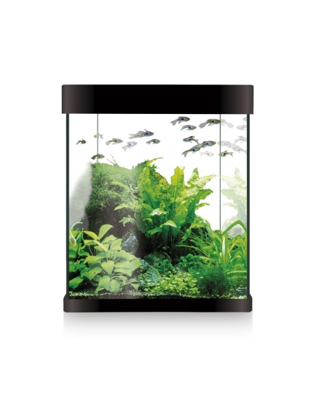 Acuario ICA Kit Nano Aqualed 10 L Negro