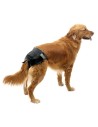 Pañales para perros IBAÑEZ Negro Talla 4, 40-48 cm 12 uds