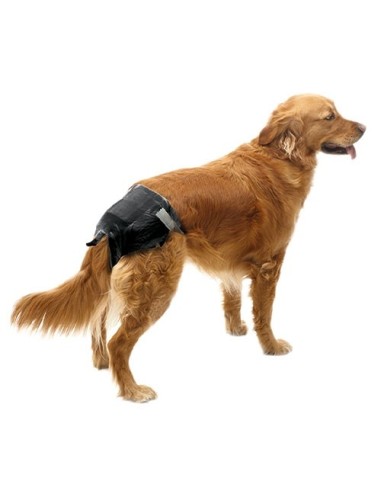 Pañales para perros IBAÑEZ Negro Talla 6, 46-56 cm 12 uds