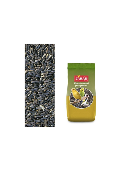 Negrillo para Aves - Jarad 400g - Semillas Ricas en Proteínas y Grasas