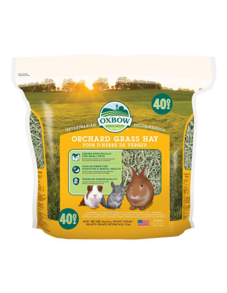 Heno de Huerto para Roedores OXBOW Orchard Grass 425gr