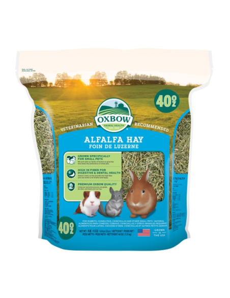 Heno de Alfalfa para Roedores OXBOW 1,13kg