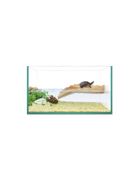 Kit Tortuguera ICA Isla de Repti Selva 30cm