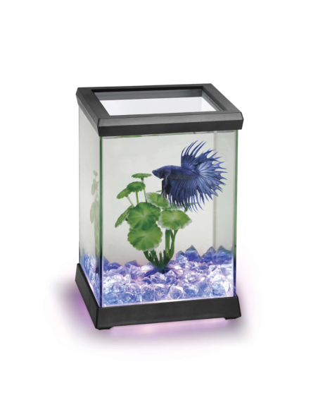 Acuario con Iluminacion para Bettas ICA Space LED 4,95 L