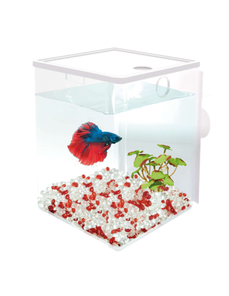 Betaworld Cube Ampliación 1.5 L: Expande tu Entorno para Peces Betta - CPA