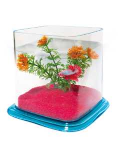 Bettera Betta Paradise grava roja 1.9 L: Hábitat Ideal para Peces Betta - CPA