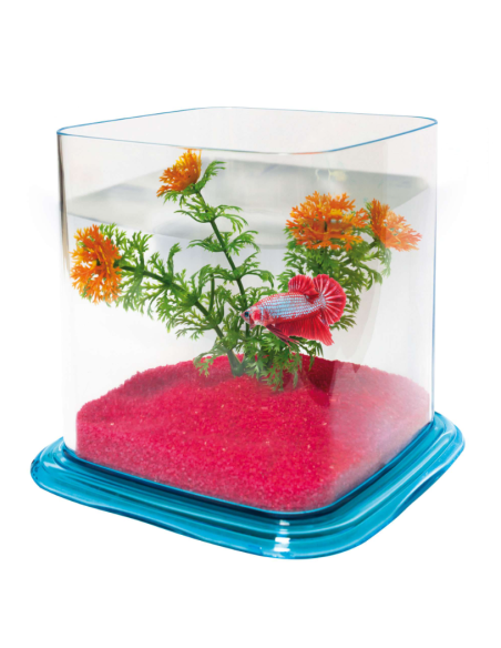 Bettera ICA Betta Paradise Grava Roja 1,9 L