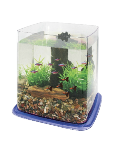 Bettera Betta Battle Paradise 6.4 L base azul: Entorno Espacioso para Peces Betta - CPA