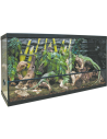 KIT para Terrario ICA Repti Selva Cristal 100 L