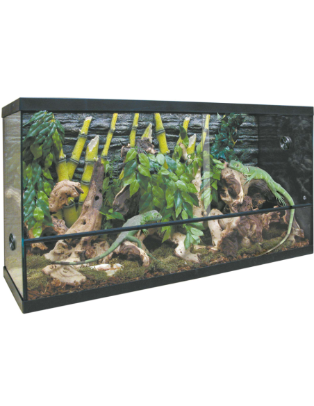 Kit para Terrario REPTI-SELVA CRISTAL - Completo y Funcional para Reptiles