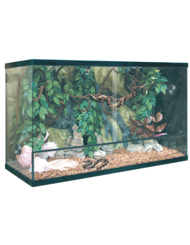 Kit para Terrario REPTI-SELVA CRISTAL - Completo y Funcional para Reptiles