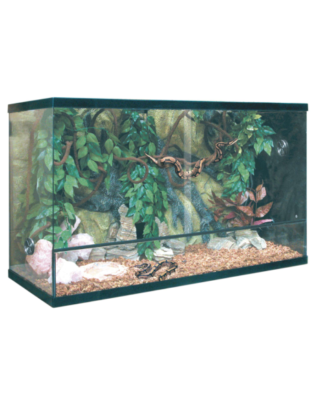 KIT para Terrario ICA Repti Selva Cristal 240 L