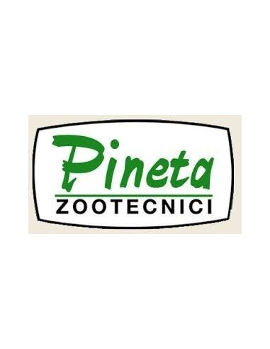 Pineta