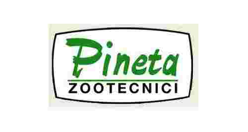 Pineta