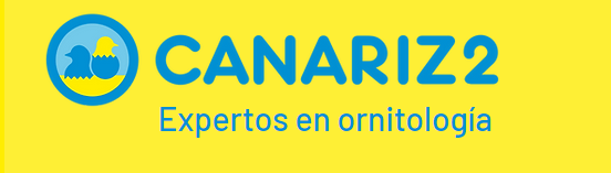 Canariz