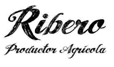 Ribero